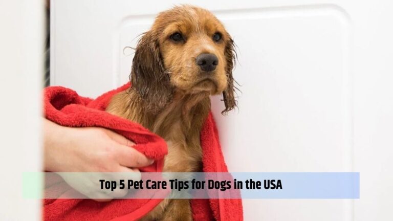 pet care tips for dogs