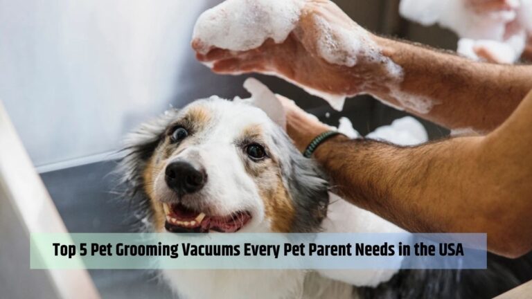 Top 5 USA Pet Grooming Vacuums Every Pet Parent Needs
